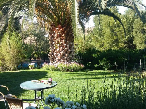 Hacienda De Chacabuco | Parcela