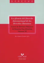 Comprar La Eficacia Del Derecho Internacional De Los Derechos Humanos. Cursos De Derechos Humanos De Donosti, De Soroeta Liceras,juan. Editorial Universidad Del País Vasco, Tapa Blanda En Español