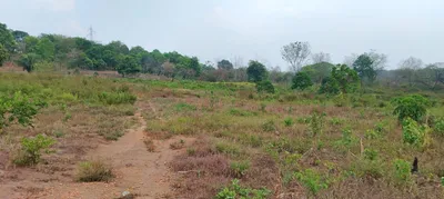Terreno en renta