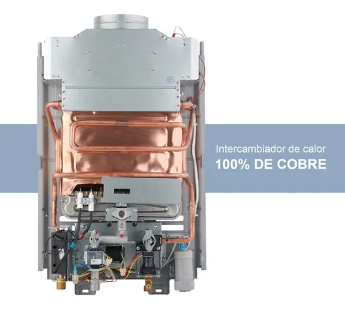 Bosch Calefon A Gas 6 Litros Tiro Natural Blanco Glp