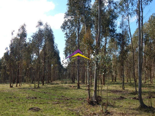 Imagen 23 de 24 de Chacra En Venta 15ha, Ruta 12 Lavalleja