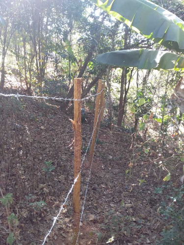 Imagem 4 de 6 de Chácara De 8.000 M² Á Venda