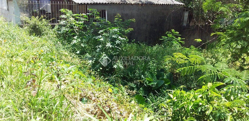 Imagem 9 de 9 de Terreno - Camaqua - Ref: 328307 - V-328307