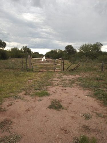 Imagen 3 de 7 de Gran Campo Ganadero!