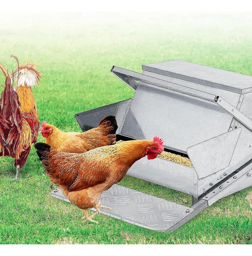 . Comedero Automático Para Pollos Sin Derrames Con Tapa