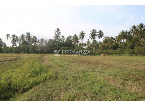 Terreno En Venta En Carretera Jala Coquimatlán