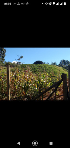 Terreno Próximo Ao Bairro Veneza