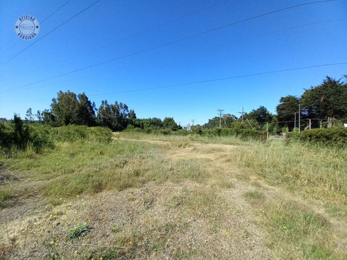 Lotes Comerciales En Av. Alessandri - Talcahuano