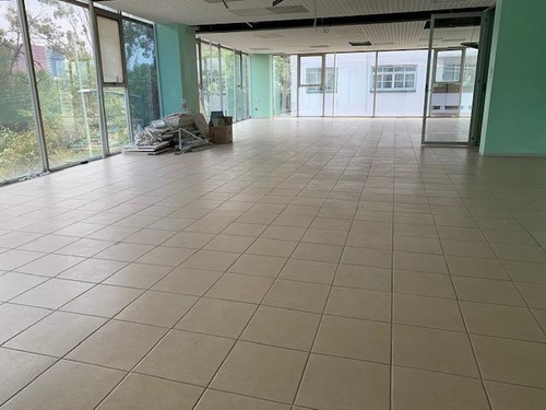 Imagen 1 de 14 de Anzures 450m2, Acondicionada, Privados, Vigilancia, 6 Estaci