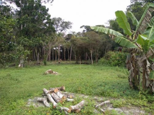 Imagem 20 de 22 de Chácara Com Espaço Para Piscina E Vaga Para 10 Automóveis, Em Itanhaém, No Bairro Chácaras Lucel, Ref: 8103/ac