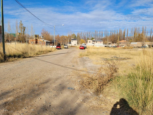 Imagen 3 de 10 de Lote De 1000 M2 Los Álamos Plottier