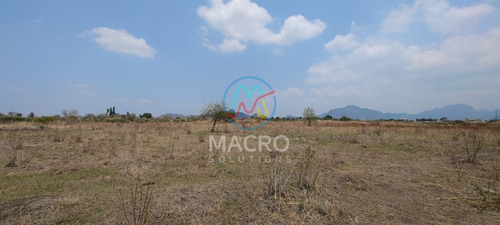 En Venta Amplio Terreno Plano En Tlayacapan Ideal Para Invertir Con Conexiona Servicios