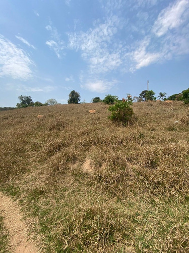 Imagem 3 de 6 de O104 Vendo Meu Terreno De 450mts