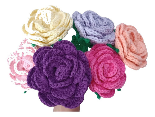 Ramo De Rosetas En Crochet