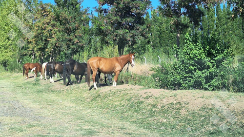 En Venta, Lotes En B° Don Vicente, Neuquén Capital.