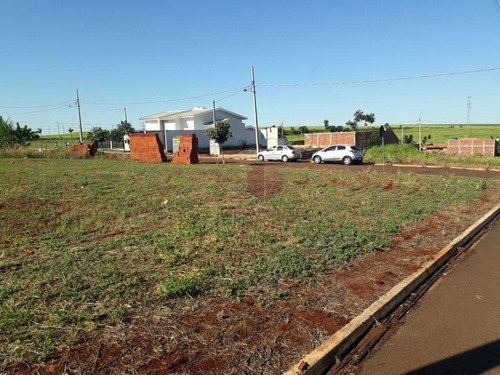 Imagem 7 de 9 de Terreno À Venda, 380 M² Por R$ 120.000,00 - Jardim Nova Floresta - Floresta/pr - Te0073
