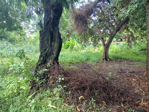 Terreno En Santa Rosa, Valencia. (soscap-15)