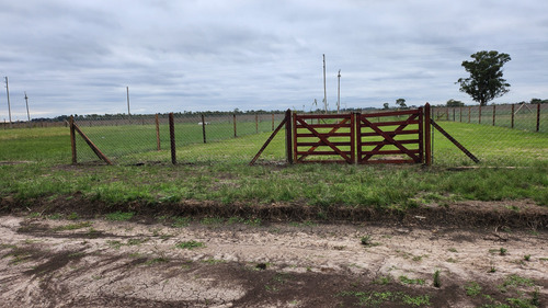 Venta Lote Las Margaritas