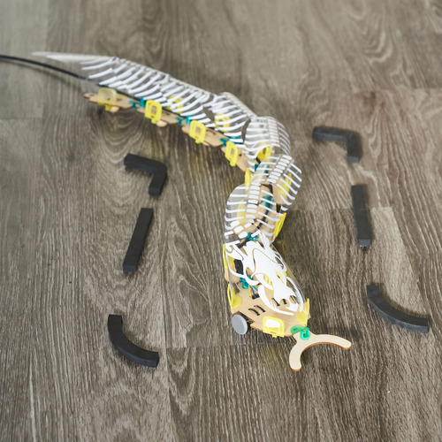 Juguete De Aprendizaje Robótico Kiwico, Robot Serpiente Con