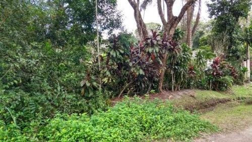 Terreno Para Chácara Em Itanhaém - 6064