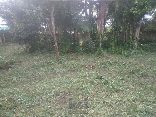 Imagem 6 de 15 de Terreno Próximo A Rodovia - 4375ip-1