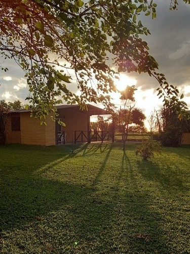 Imagen 3 de 16 de Posada Del Campo A Pasito De Termas Del Dayman