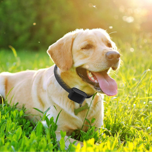 Sistema De Valla Eléctrica Para Perros Imountek Valla Eléctr