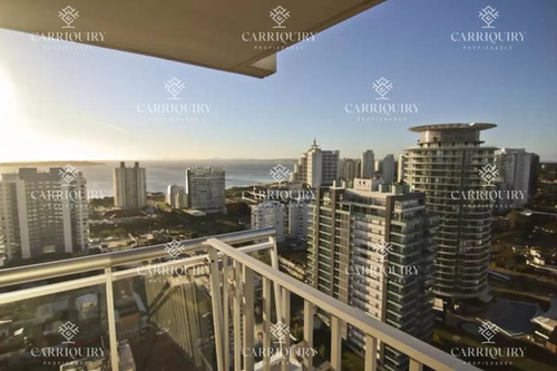 Vivir En Punta Del Este Con Su Mayor Confort