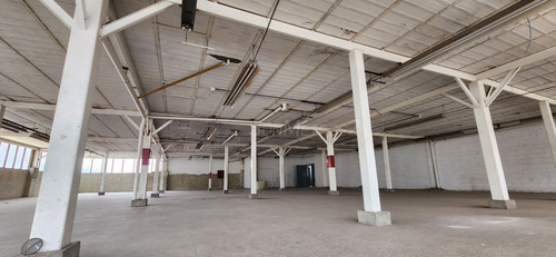 Piso Industrial Depósito Alquiler Ruiz Pineda 610 Mts2 B-9qnx 1606
