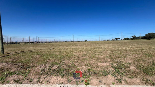 Lote En Docta Central