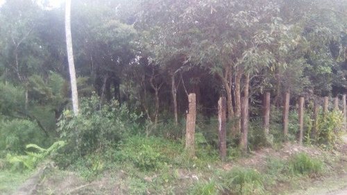Grande Terreno De Chácara Em Itanhaém - Ch031