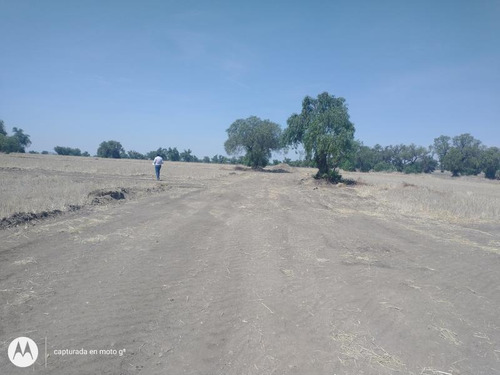 Imagen 3 de 3 de Terreno En Venta Las Pintas A Precios Super Especiales