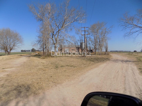 Imagen 9 de 27 de Terreno Campo En Venta En Carmen De Areco, Resto De La Provincia, Buenos Aires