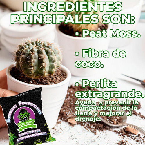 Sustrato Cactus Suculentas Con Fertilizante