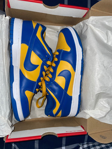 Nike Dunk Low Retro (Usado)