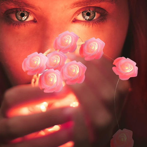 Vosarea 3 Metros Led Led Led Rose Lughtes Usb Luces De Luces