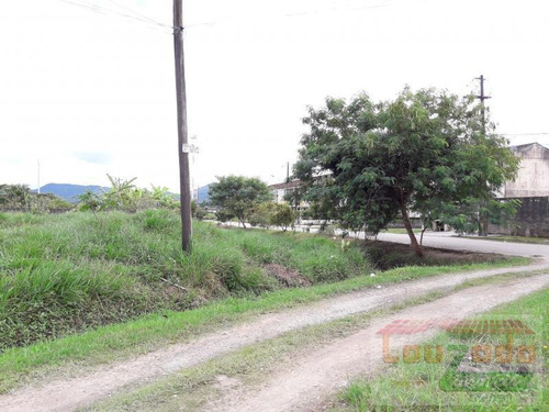Terreno Para Venda Em Peruíbe, Estancia Dos Eucaliptos - 1644_2-697252