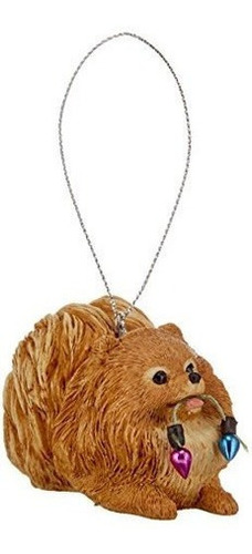 Sandicast Orange Pomeranian Holding Holiday Lights Ornamento