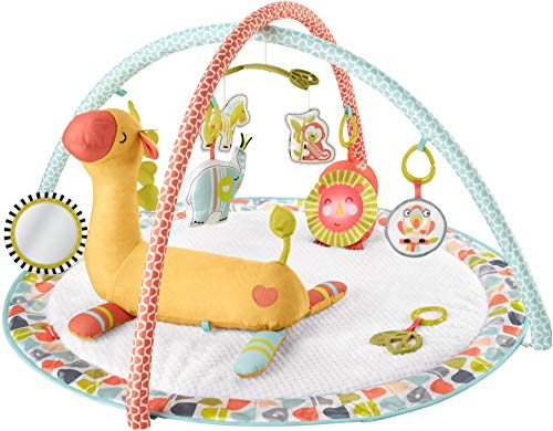 Fisher-price Go Wild Gym Y Cuña De Jirafa, Gimnasio De Activ