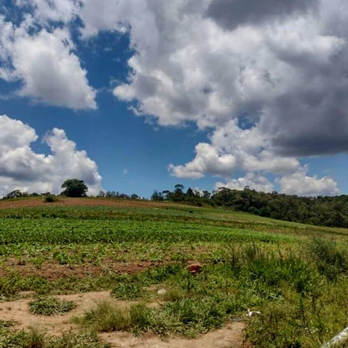 Imagem 13 de 18 de 11o- Terreno Próximo À Carapicuiba