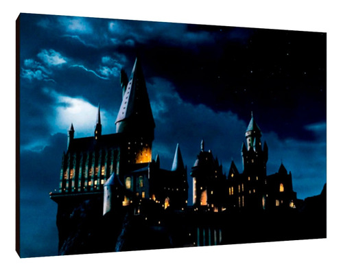 Cuadros Poster Harry Potter Hogwarts L 29x41 (hog (9))