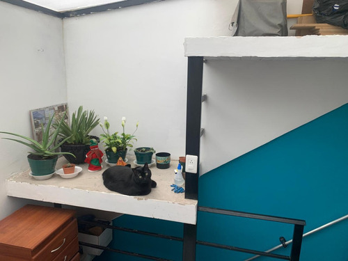 Pinos De Lombardía Apartamento En Venta