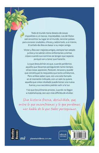 Libro Aquello Que Perseguimos Manu Almeida