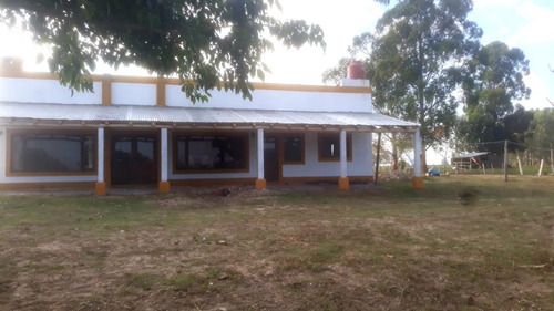 Imagen 21 de 26 de Vendo Chacra De 15 Has. Con Casa De Campo Muy Cerca Del Centro De Esquina, Corrientes!!!!!!
