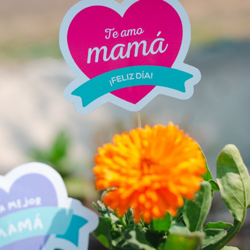 Imagen 3 de 5 de Set De Etiquetas/tags Imprimibles Día De La Madre - 16 U.