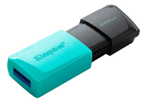 Memoria Usb 3.2 Kingston Datatraveler Exodia M 256gb