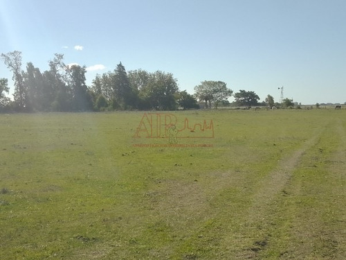 Imagen 3 de 15 de Venta,de Importante Campo En Roberto. J. Payro, Partido De Magdalena.