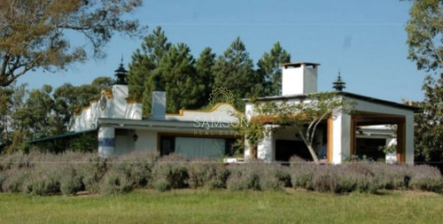 Campo En Venta En Treinta Y Tres - Ref: 63969