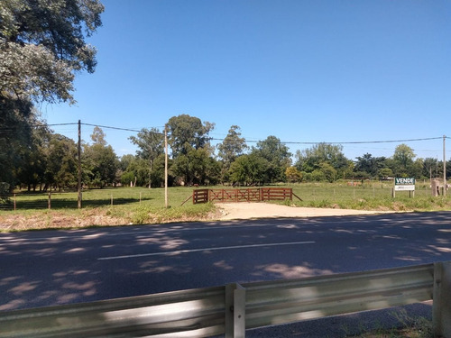 Imagen 6 de 15 de Lote | Ruta Nac Nº 8
