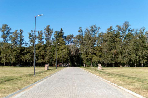 Lote En Venta En Cortinez